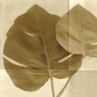 Monstera Leaf II Art Print