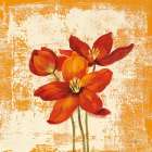 Jewel Flower VIII Art Print