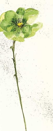 Mint Poppies I Crop Art Print