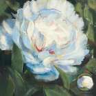 Peony I Art Print