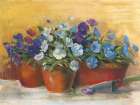 Violetta