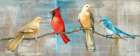Bird Gossip Art Print