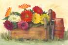 Gardeners Still Life with Gerberas Art Print