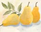 Pears V Art Print
