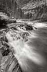Aspens at McDonald Creek Falls Art Print