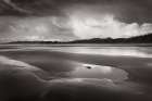 Clearing Storm on Washington Coast IV Art Print
