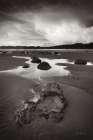 Clearing Storm on Washington Coast V Art Print