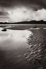 Clearing Storm on Washington Coast VIII Art Print