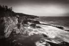 Shore Acres State Park Art Print