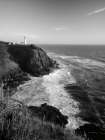 North Head BW Art Print