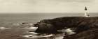 Yaquina Head Crop Art Print