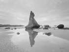 Bandon Needles Art Print