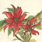 Poinsettia II