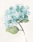 Antique Floral on Cream I Blue