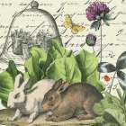 Garden Rabbit II Art Print