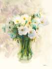 White Cosmos Art Print