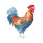 Rooster on White Art Print