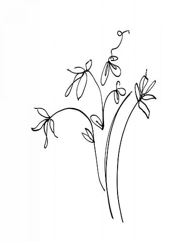 Ink Flowers 11 on White Art Print