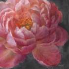 Vivid Floral I Crop Art Print