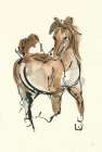 Sketchy Horse V