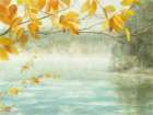 View from the Shore Art Print