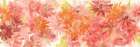 Flowers Afield I Art Print