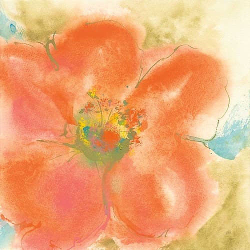 Coral Poppy II Art Print