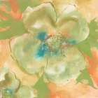 Olive Poppy I