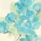Arabian Jasmine I