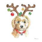 Holiday Paws VI on White Art Print
