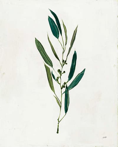 Botanical Study I Greenery Nature Print