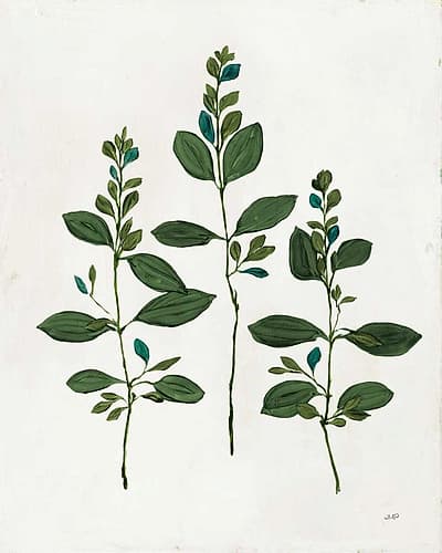 Botanical Study IV Greenery Nature Print
