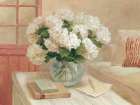 Garden Room Art Print