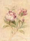 Scented Floral I Art Print