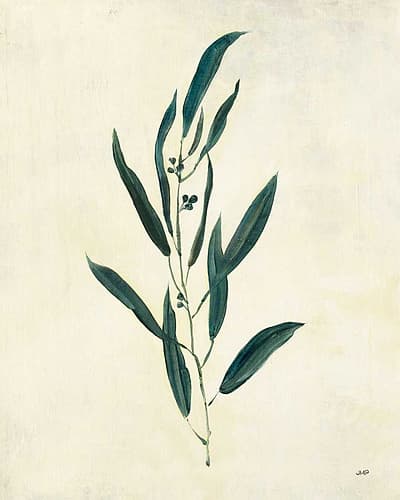 Botanical Study V Nature Print