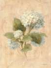 Scented Floral IV Art Print