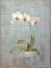 Elegant Orchid II Art Print