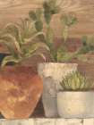 Desert Still Life Light Crop Art Print