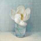 Single White Magnolia Art Print