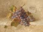 Bordeaux Grapes Art Print