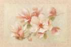 Pink Magnolia Art Print