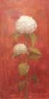 White Hydrangea on Red Art Print