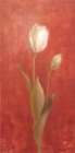 White Tulips on Red Art Print