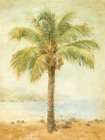 Mirage Palm II Art Print