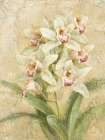 Dreamy Orchids III Art Print