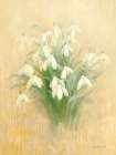 January Snowdrops Art Print