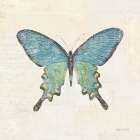 Butterfly Collage II Cream Art Print