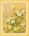 Chinese Chrysanthemums I