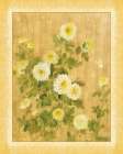 Chinese Chrysanthemums II