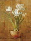 White Narcissus on Bronze Art Print